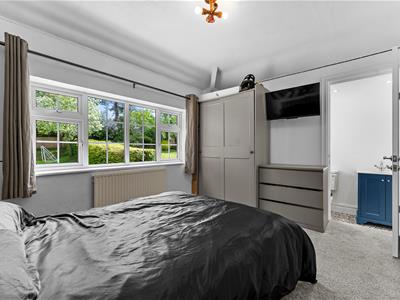 Picture 15